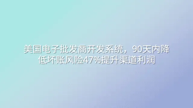 美国电子批发商开发系统，90天内降低坏账风险47%提升渠道利润