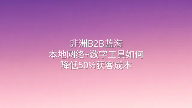 非洲B2B蓝海：本地网络+数字工具如何降低50%获客成本