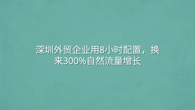 深圳外贸企业用8小时配置，换来300%自然流量增长