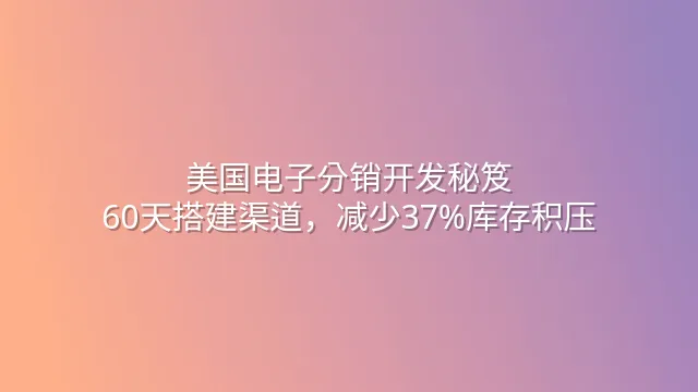 美国电子分销开发秘笈：60天搭建渠道，减少37%库存积压