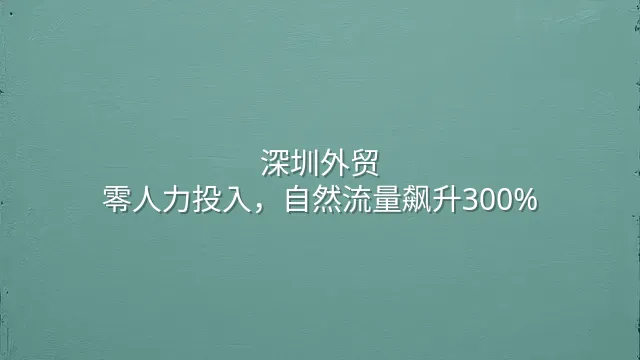 深圳外贸：零人力投入，自然流量飙升300%