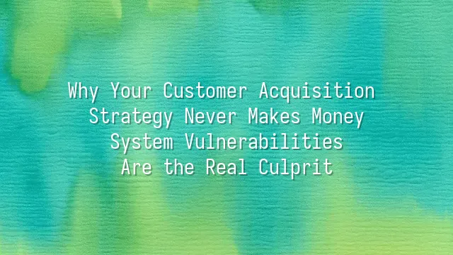 Why Your Customer Acquisition Strategy Never Makes Money? System Vulnerabilities Are the Real Culprit