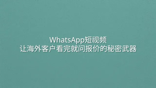WhatsApp短视频：让海外客户看完就问报价的秘密武器