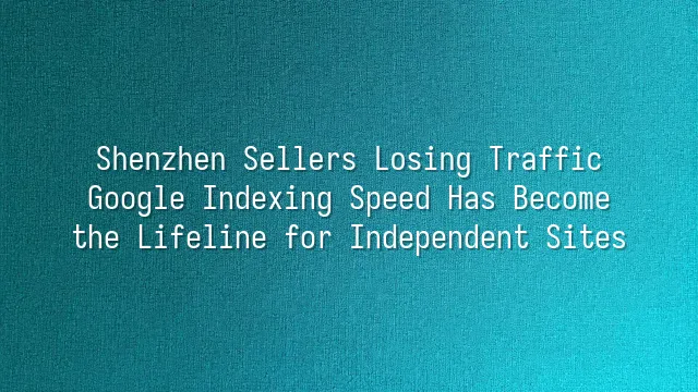 Shenzhen Sellers Losing Traffic? Google Indexing Speed Has Become the Lifeline for Independent Sites