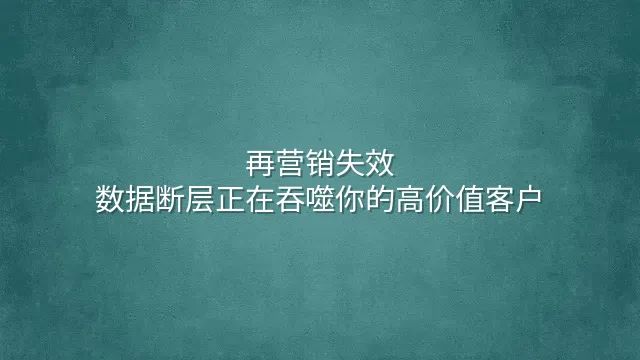 再营销失效？数据断层正在吞噬你的高价值客户