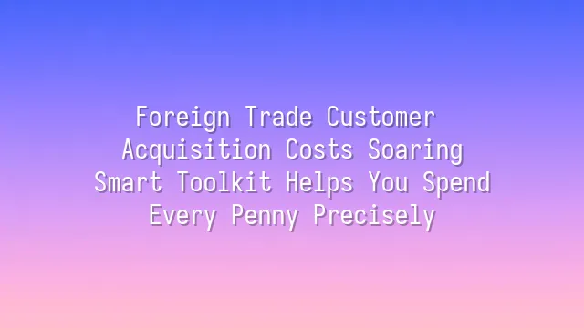 Foreign Trade Customer Acquisition Costs Soaring? Smart Toolkit Helps You Spend Every Penny Precisely