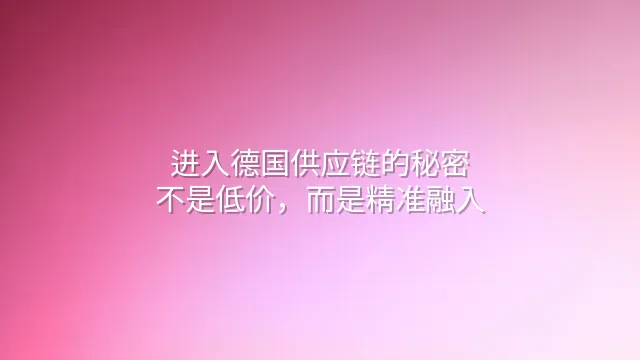 进入德国供应链的秘密：不是低价，而是精准融入