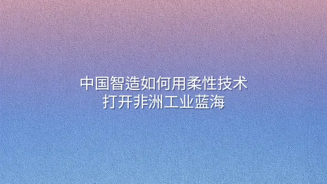 中国智造如何用柔性技术打开非洲工业蓝海