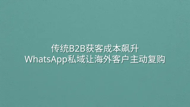 传统B2B获客成本飙升？WhatsApp私域让海外客户主动复购