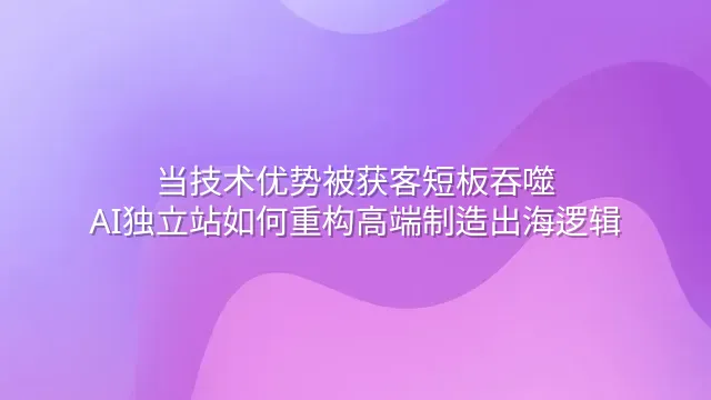 当技术优势被获客短板吞噬：AI独立站如何重构高端制造出海逻辑