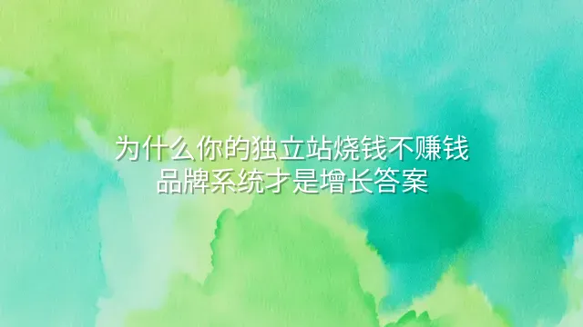 为什么你的独立站烧钱不赚钱？品牌系统才是增长答案