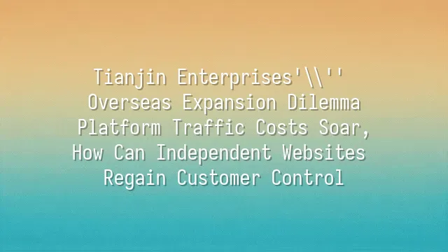 Tianjin Enterprises' Overseas Expansion Dilemma: Platform Traffic Costs Soar, How Can Independent Websites Regain Customer Control?
