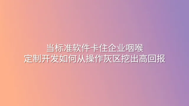 当标准软件卡住企业咽喉：定制开发如何从操作灰区挖出高回报