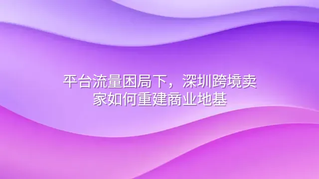 平台流量困局下，深圳跨境卖家如何重建商业地基？