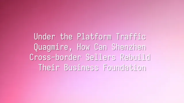 Under the Platform Traffic Quagmire, How Can Shenzhen Cross-border Sellers Rebuild Their Business Foundation?