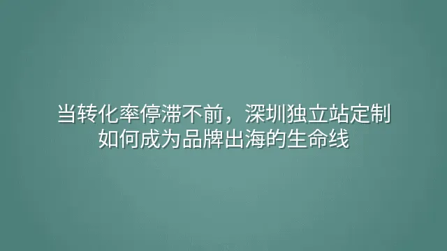当转化率停滞不前，深圳独立站定制如何成为品牌出海的生命线
