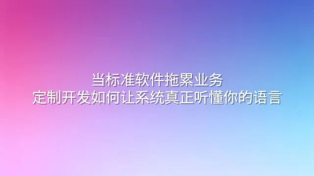 当标准软件拖累业务：定制开发如何让系统真正听懂你的语言