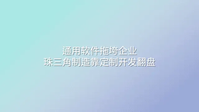 通用软件拖垮企业？珠三角制造靠定制开发翻盘