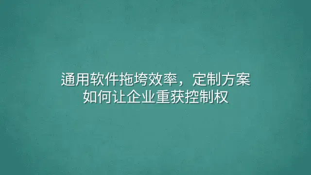 通用软件拖垮效率，定制方案如何让企业重获控制权