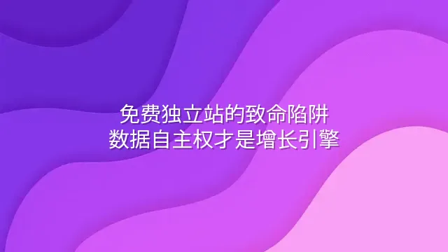 免费独立站的致命陷阱：数据自主权才是增长引擎