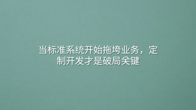 当标准系统开始拖垮业务，定制开发才是破局关键