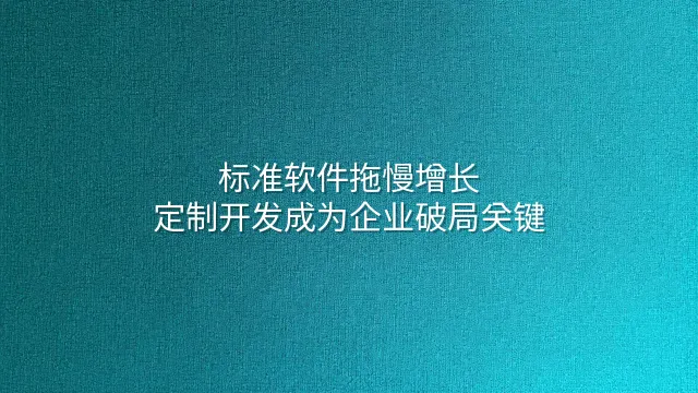 标准软件拖慢增长？定制开发成为企业破局关键