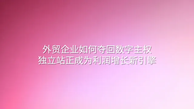 外贸企业如何夺回数字主权？独立站正成为利润增长新引擎