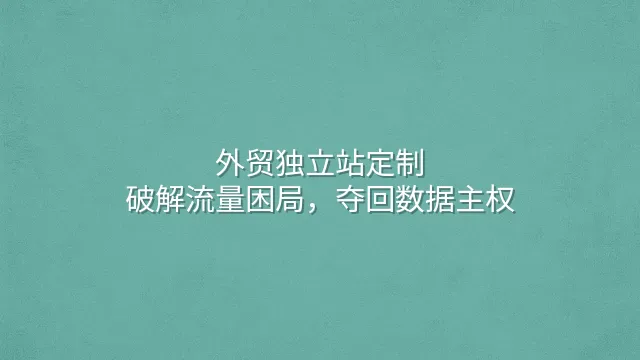 外贸独立站定制：破解流量困局，夺回数据主权