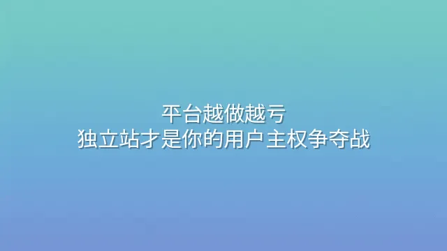 平台越做越亏？独立站才是你的用户主权争夺战