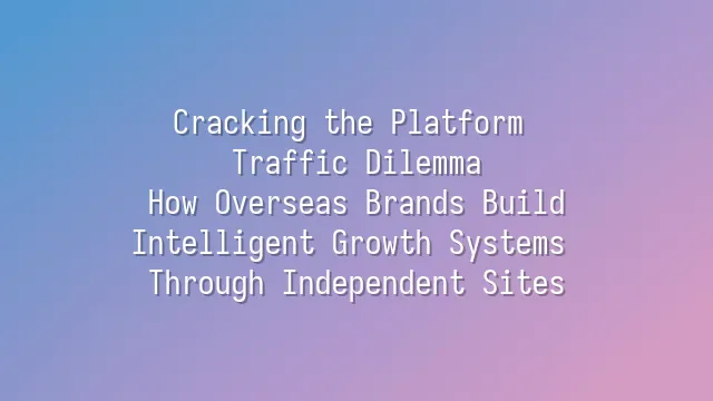 Cracking the Platform Traffic Dilemma: How Overseas Brands Build Intelligent Growth Systems Through Independent Sites
