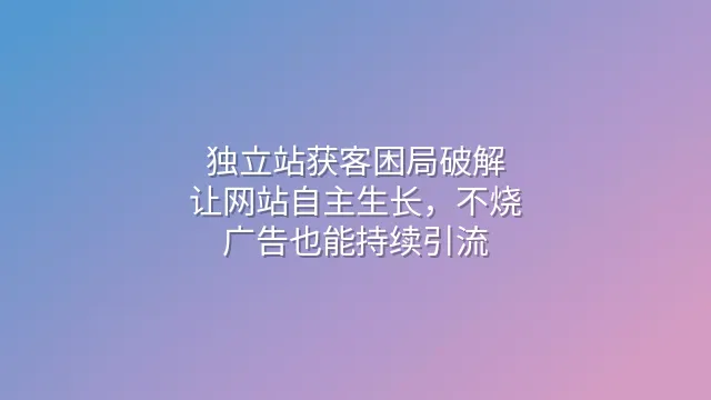 独立站获客困局破解：让网站自主生长，不烧广告也能持续引流