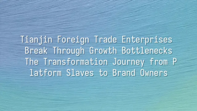 Tianjin Foreign Trade Enterprises Break Through Growth Bottlenecks: The Transformation Journey from Platform Slaves to Brand Owners