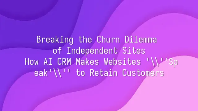 Breaking the Churn Dilemma of Independent Sites: How AI CRM Makes Websites 'Speak' to Retain Customers