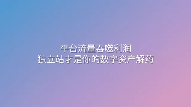平台流量吞噬利润？独立站才是你的数字资产解药