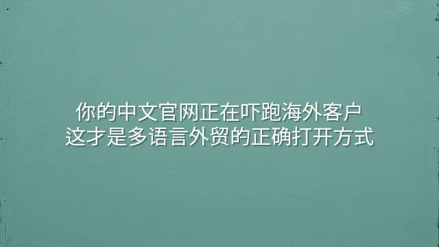 你的中文官网正在吓跑海外客户？这才是多语言外贸的正确打开方式