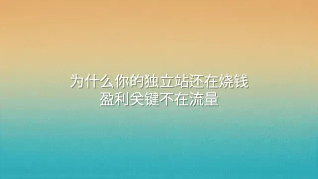 为什么你的独立站还在烧钱？盈利关键不在流量