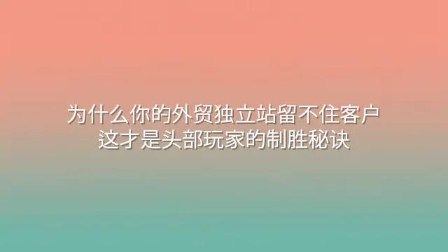 为什么你的外贸独立站留不住客户？这才是头部玩家的制胜秘诀
