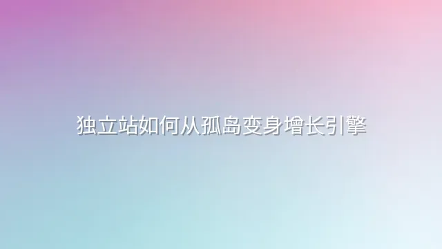 独立站如何从孤岛变身增长引擎