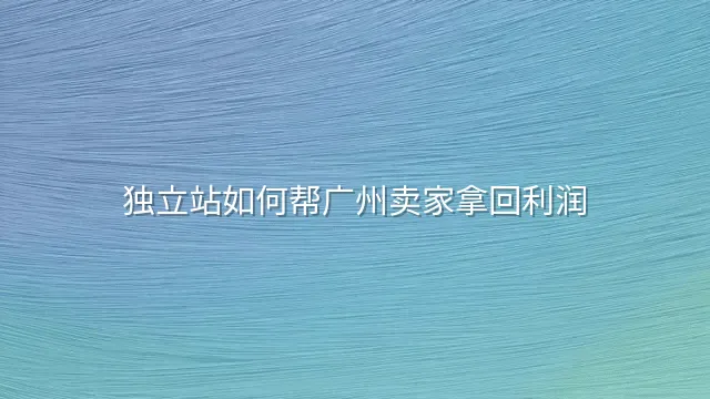 独立站如何帮广州卖家拿回利润